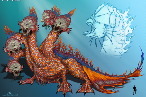 Kraken darknet to run