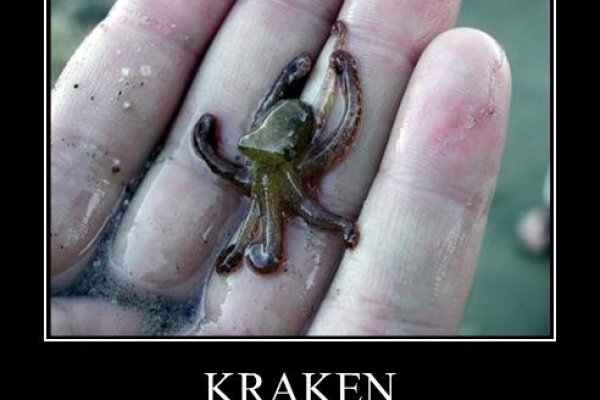 Kraken фейк сайт